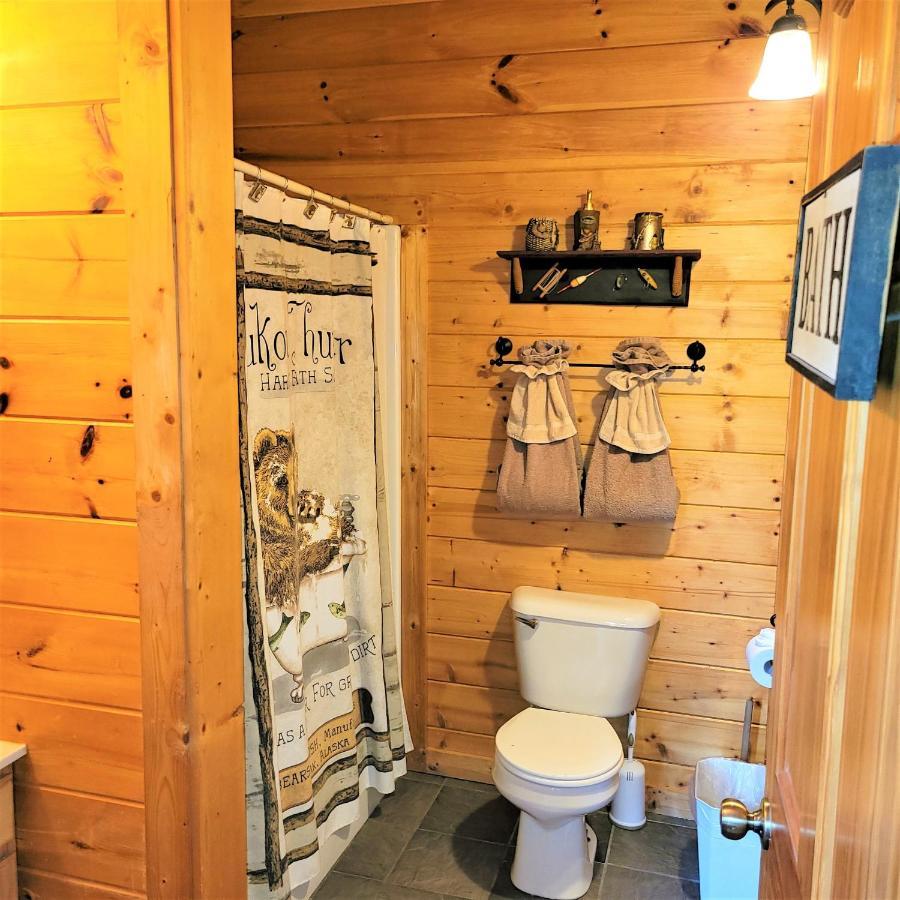 Skinny Dippin'-River Front- Free Tickets-Dog Friendly-Sleeps 6 Pigeon Forge Extérieur photo